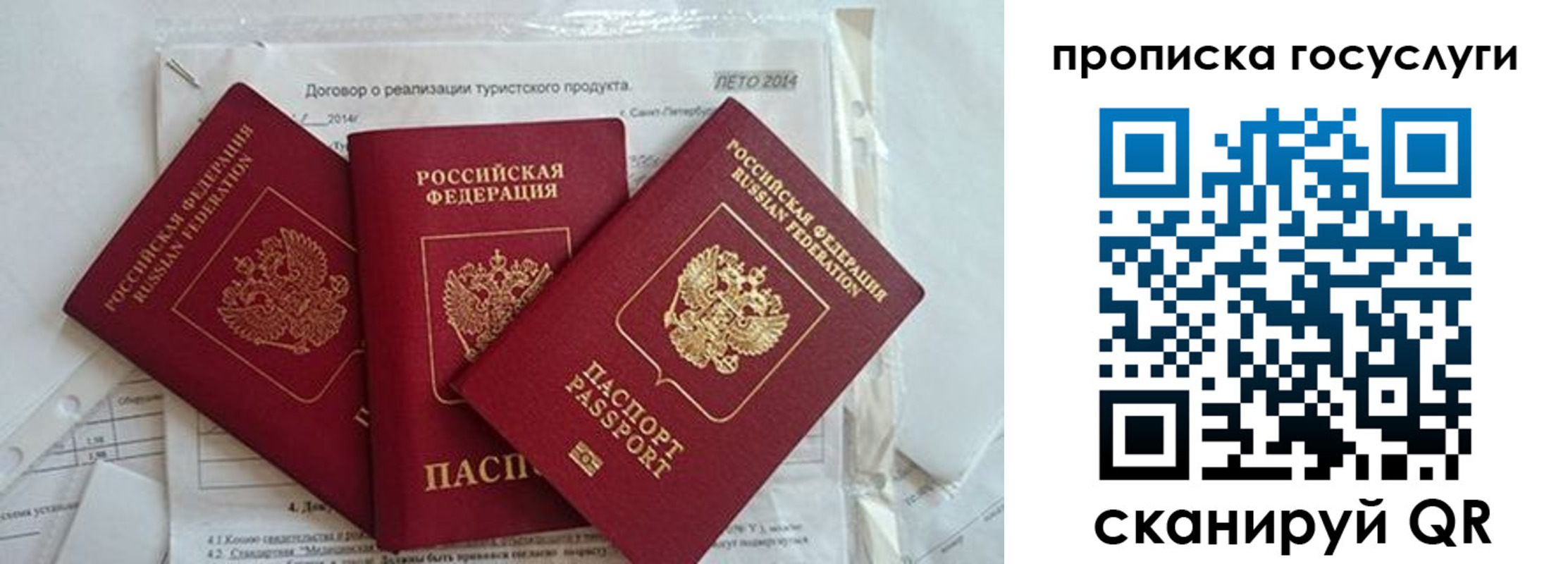 прописка штамп в Лузе